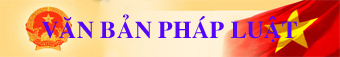 Văn bản quy phạm pháp luật